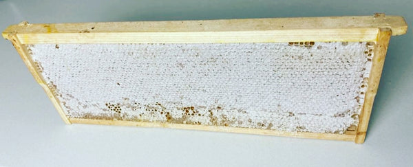 Comb at Home- 2.5kg Raw Honey Comb- Free Delivery **